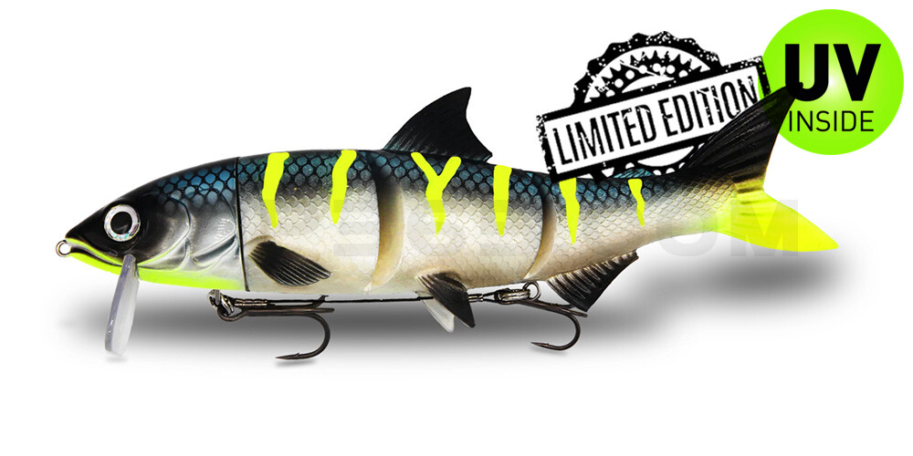 RenkyOne - Hybrid Fishing Lure 10" (ca. 25cm) slow sinking im Hartschalenblister Electric Stripez