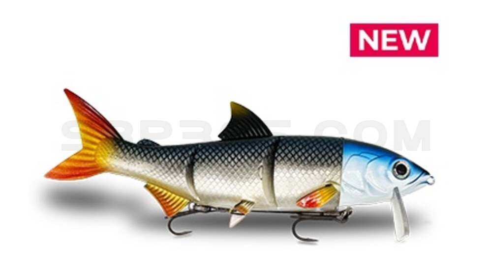 RenkyOne - Hybrid Fishing Lure 10" (ca. 25cm) slow sinking im Hartschalenblister Real Roach