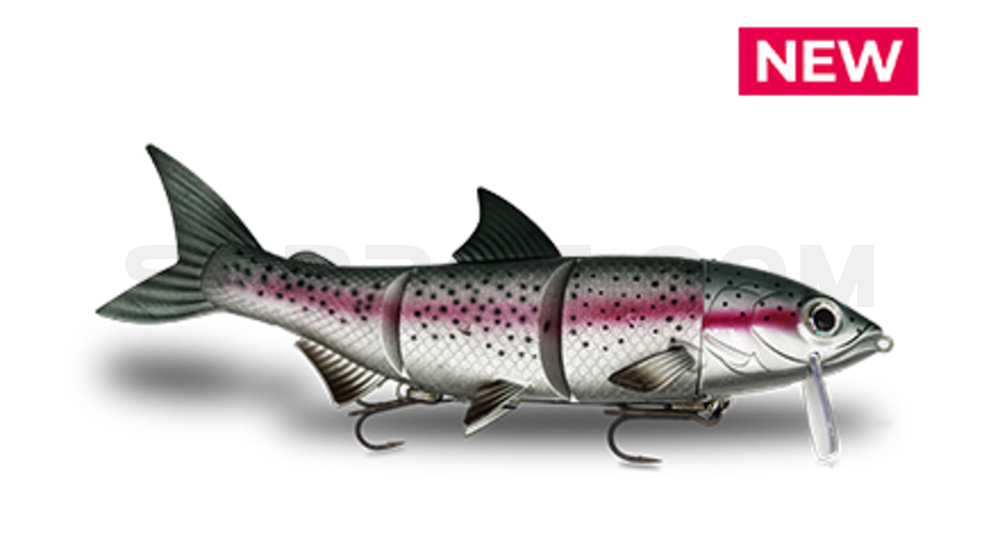 RenkyOne - Hybrid Fishing Lure 10" (ca. 25cm) slow sinking im Hartschalenblister Silver Trout