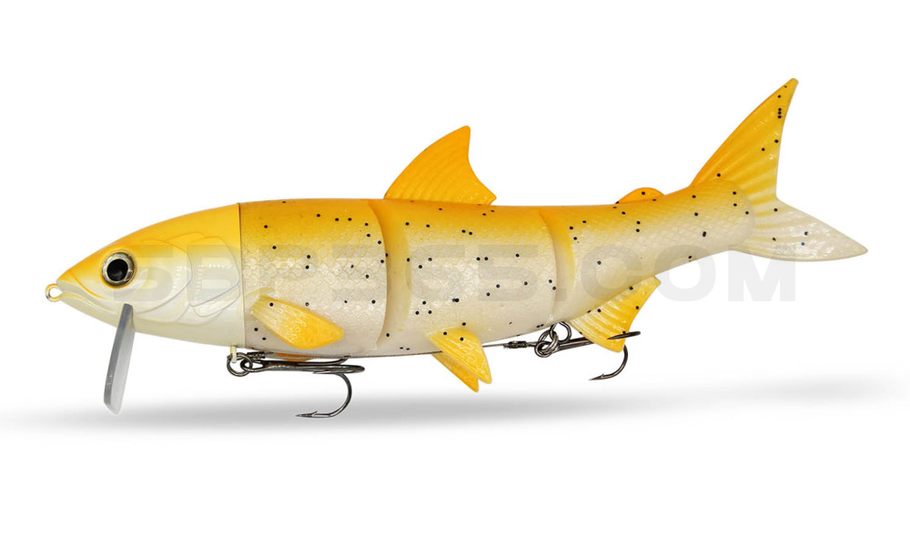 RenkyOne - Hybrid Fishing Lure 10" (ca. 25cm) slow sinking im Hartschalenblister Spotted Orange