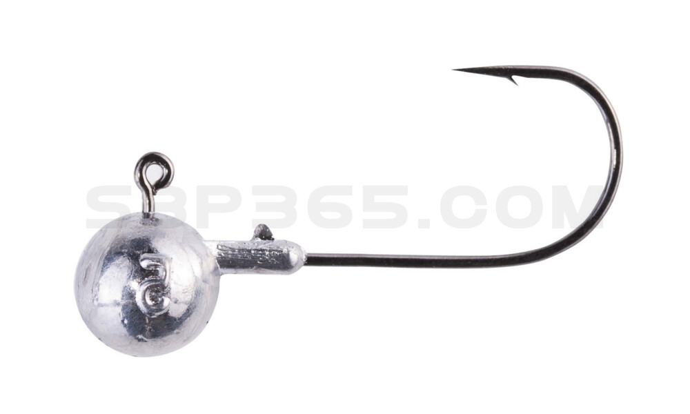 ShadXperts Spezial Jig Rundkopf Größe: 01, Gewicht: 24 g