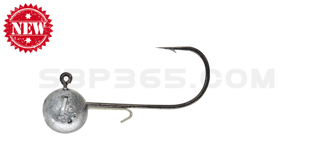 SX Spezial Jig Rundkopf Wirekeeper 2.0 (Baitholder) Größe: 01, Gewicht: 4g