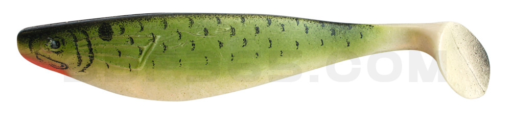 USA Printer 9" (ca. 23,0 cm) Baby Pike